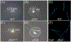 FIG. 4.
