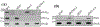 FIG. 9.