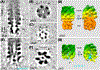 FIG. 6.