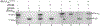 FIG. 10.