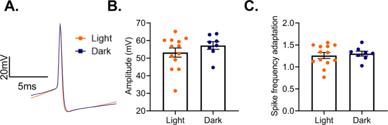 Figure 12.