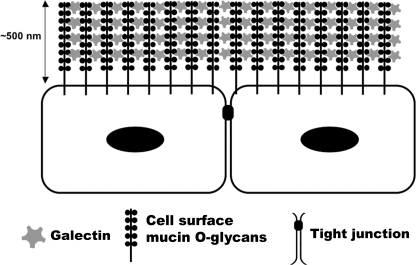 FIGURE 7.