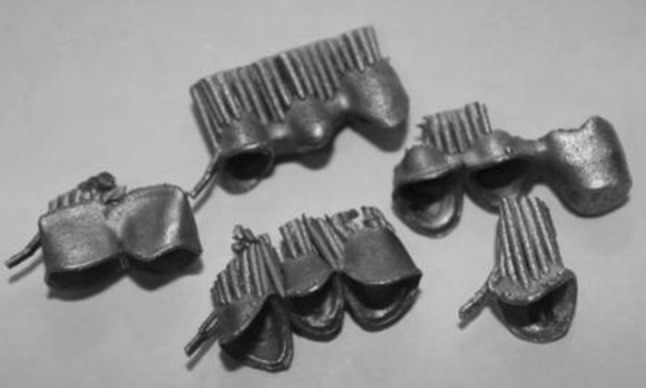 Fig. 2