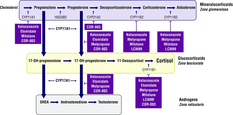 Fig. 1