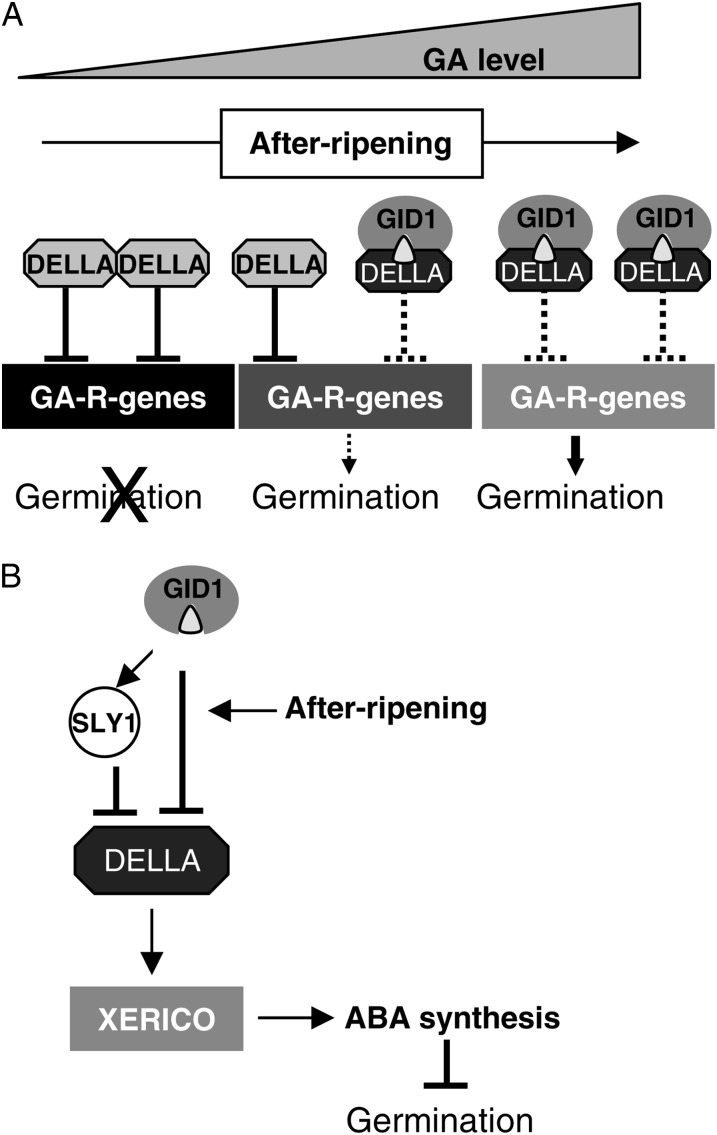 Figure 9.