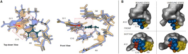 Figure 5.