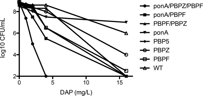 FIG 2