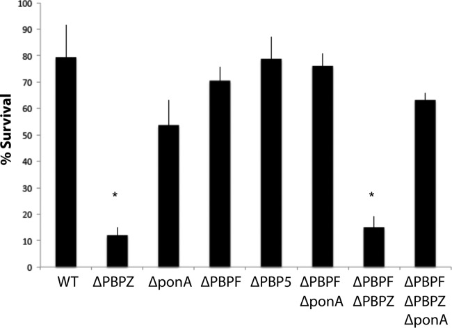 FIG 6