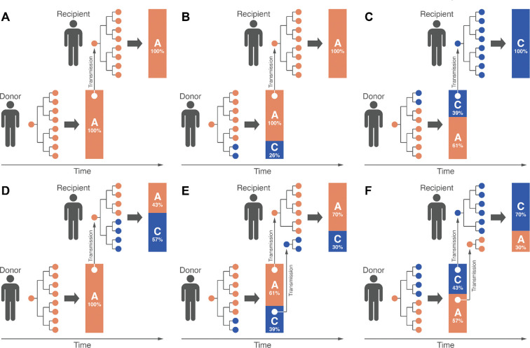 Figure 1: