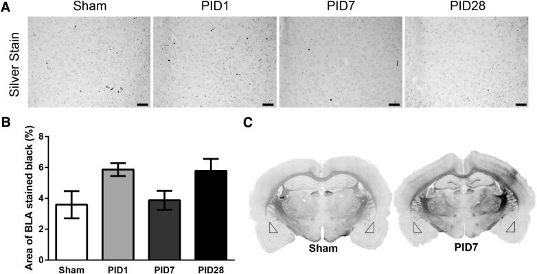 FIG. 5.