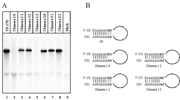 FIG. 2.