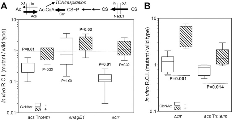 FIG 4 