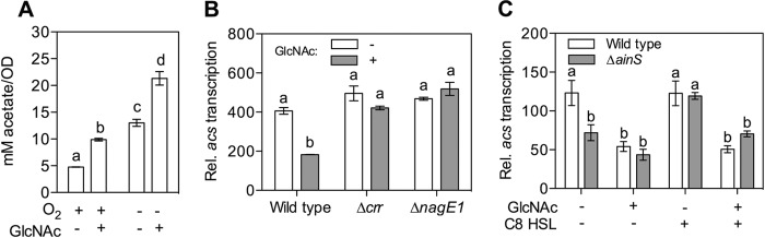 FIG 2 