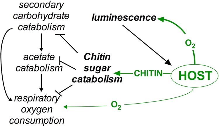 FIG 5 