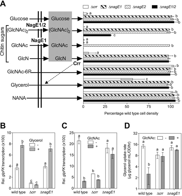 FIG 1 