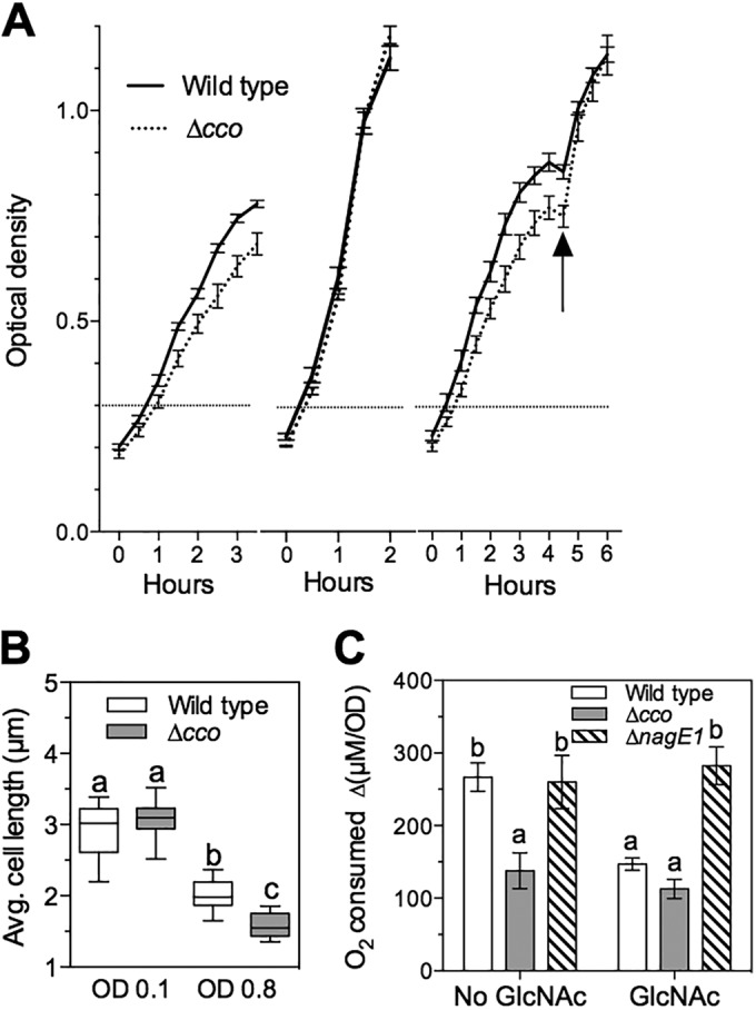 FIG 3 