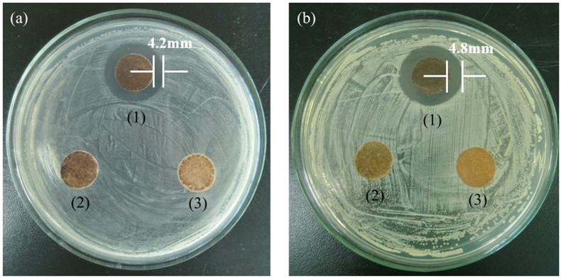 Fig. 7