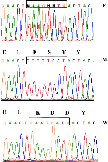 Figure  3