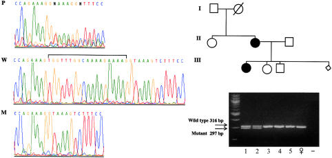 Figure  2