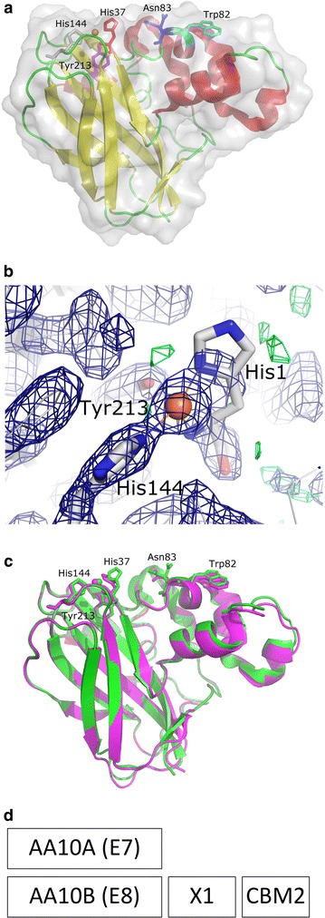 Fig. 1