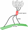 Fig. 8.
