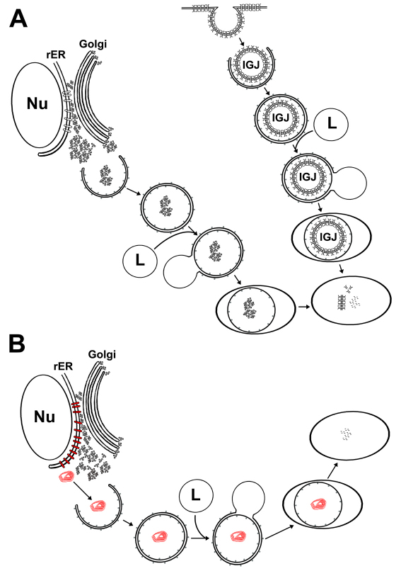 Fig. 11.