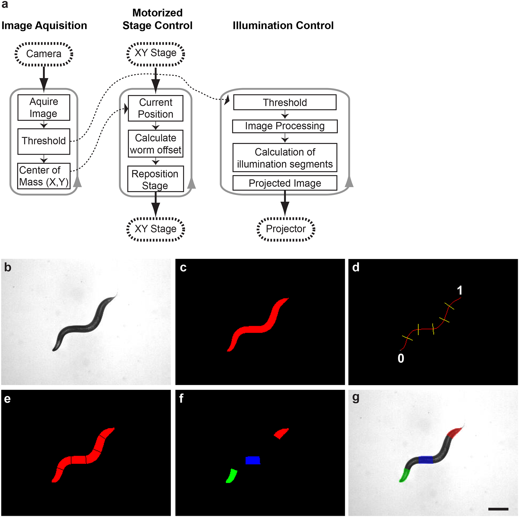 Figure 2.