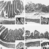 FIG. 9