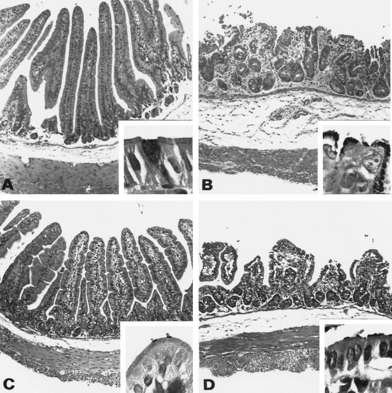 FIG. 9