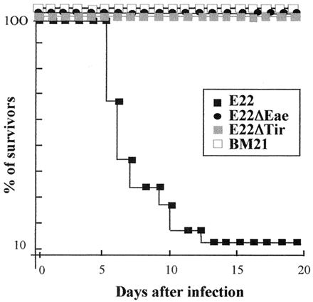 FIG. 7