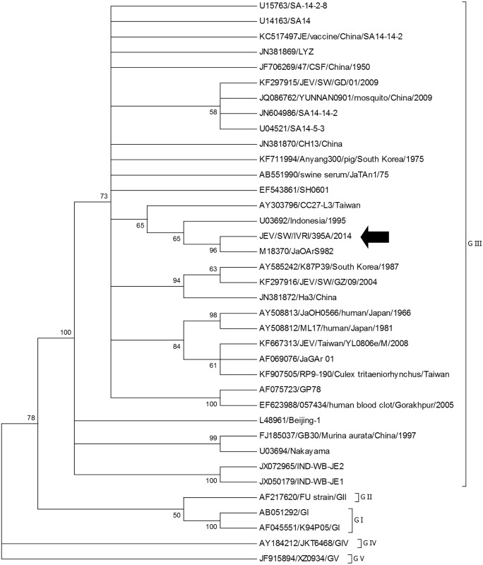 Fig 3