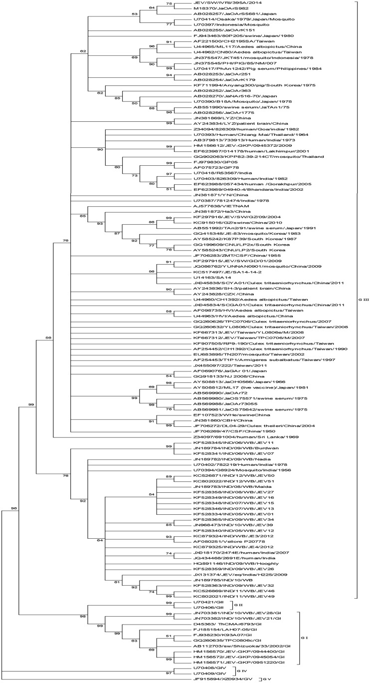 Fig 2