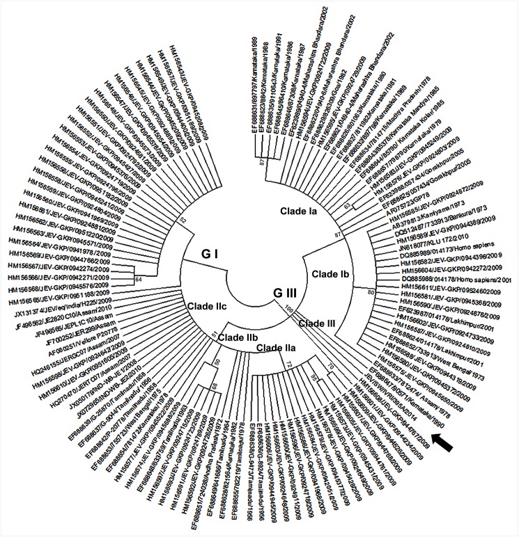 Fig 4