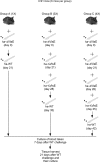 FIG 1