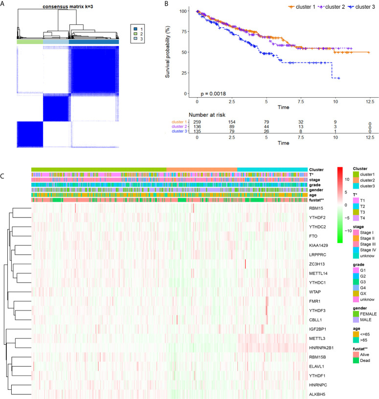 Figure 3