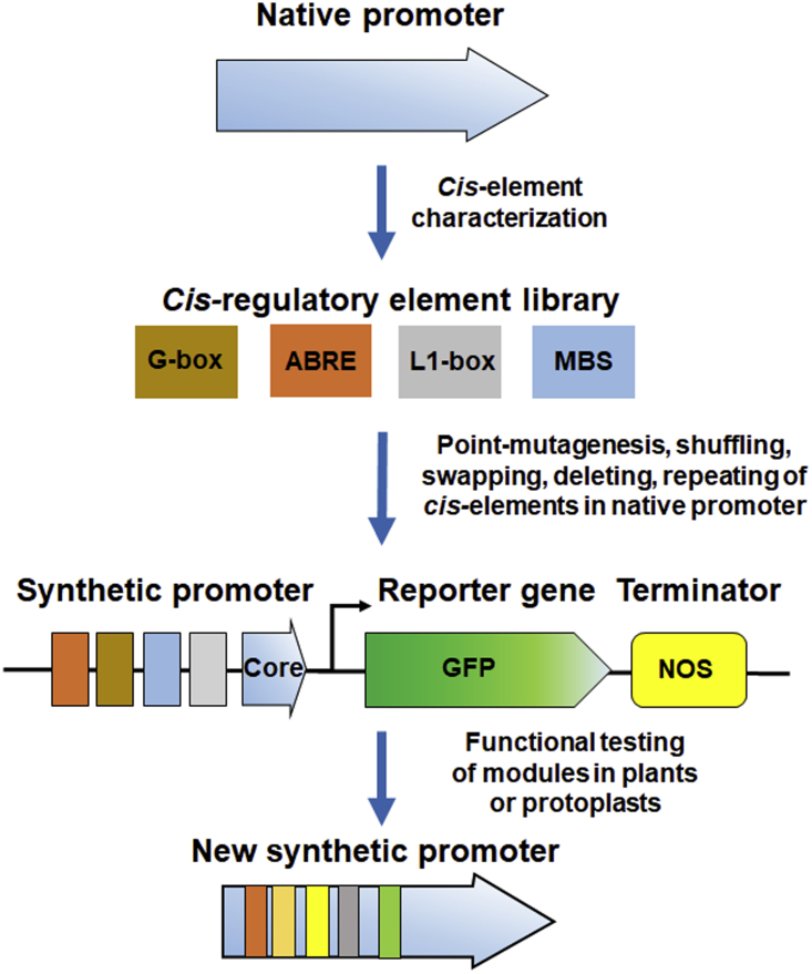 Figure 2