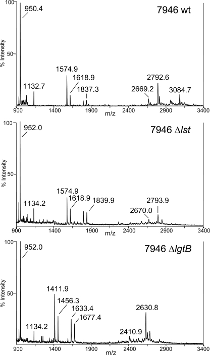 FIGURE 7.