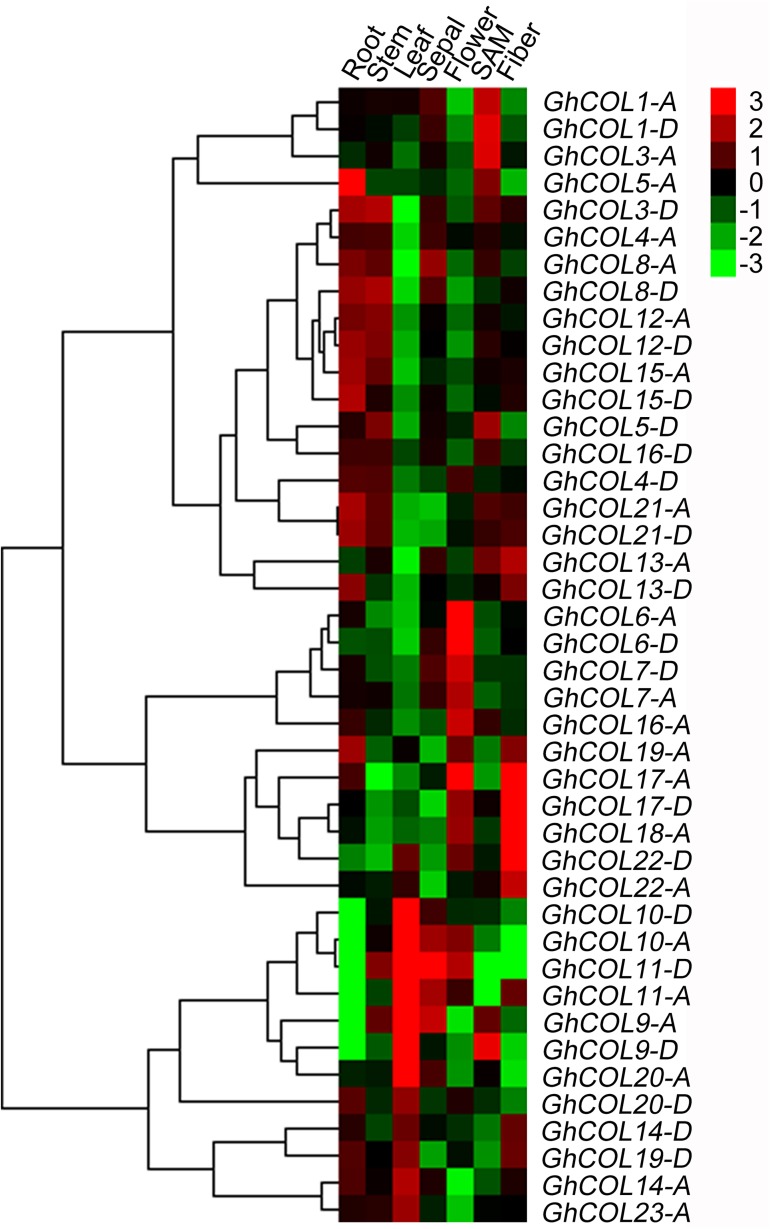 Fig 4