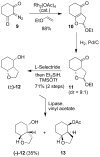 Scheme 2