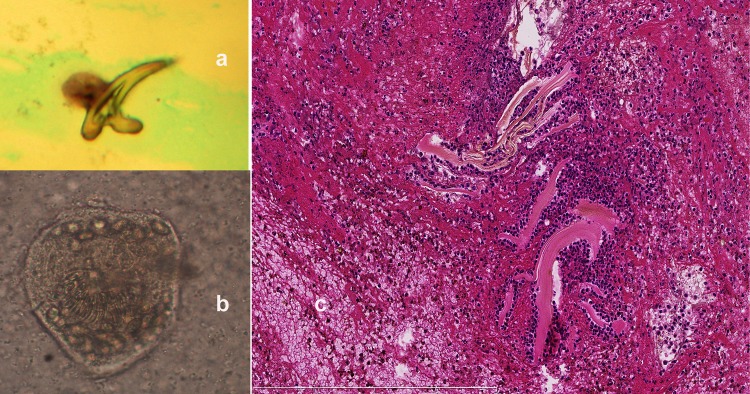 Figure 4