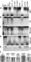 FIG. 4.