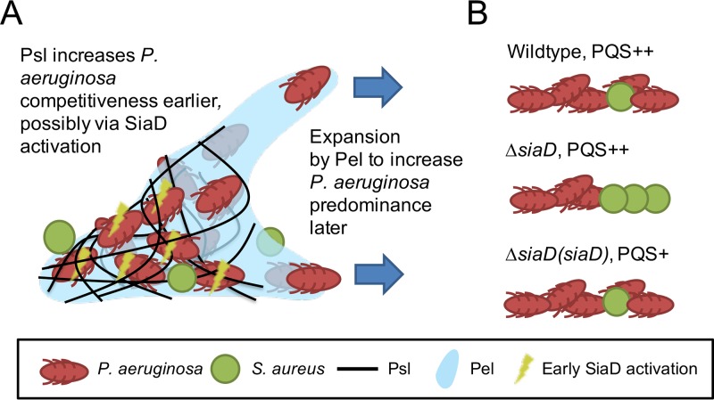 FIG 8