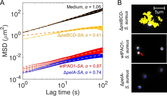 FIG 4