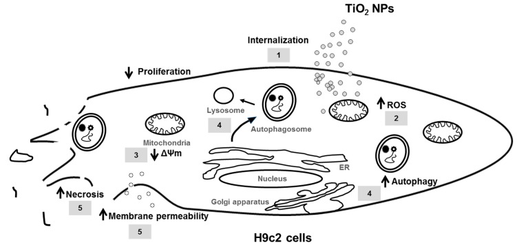 Figure 9