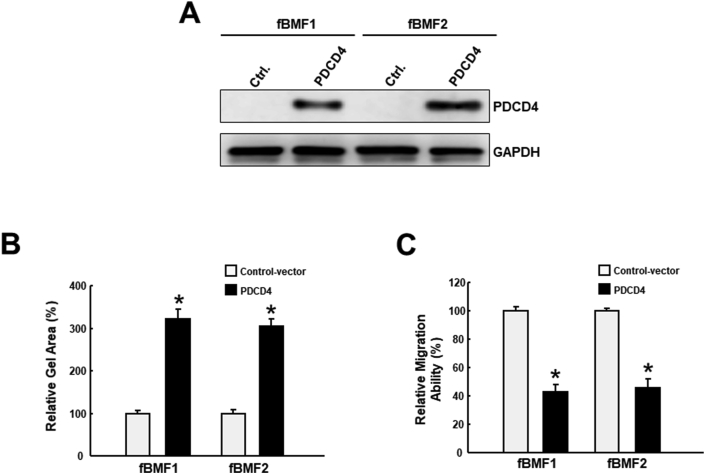 Figure 3