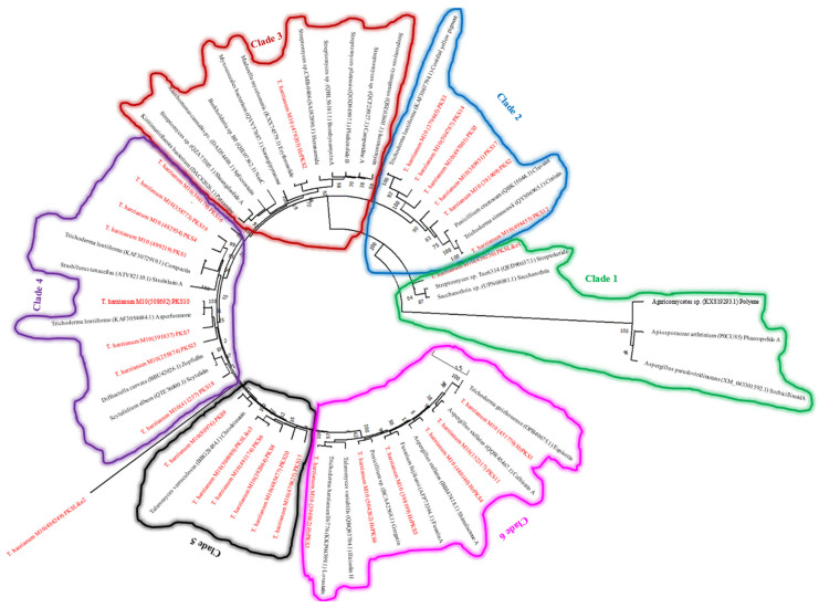 Figure 5