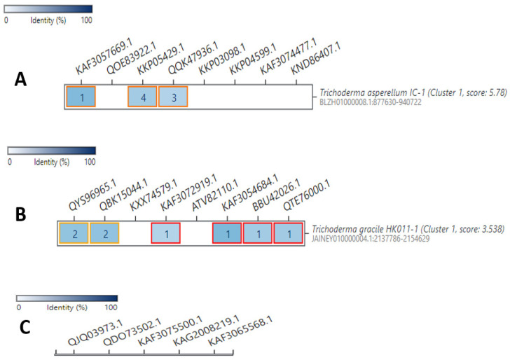 Figure 11