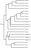 FIG. 1.