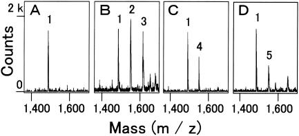 FIG. 2.