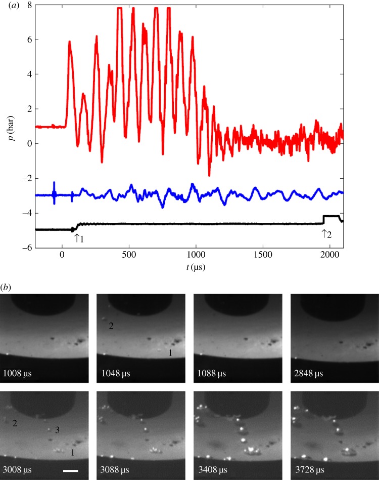 Figure 13.